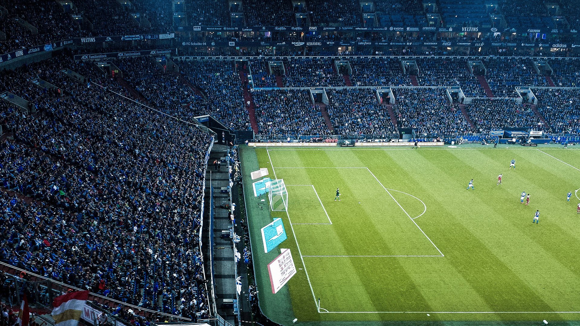 “夜跑+露天电影双重活动日” 跑后就在终点看电影